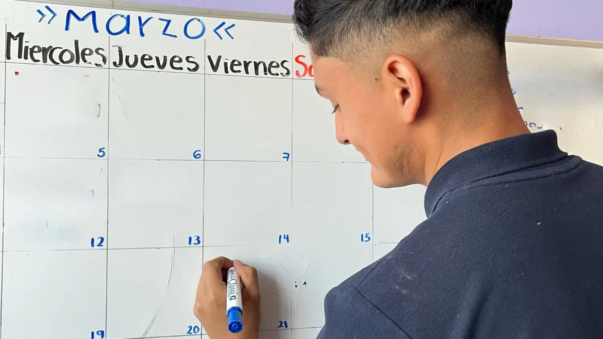 Verificacion